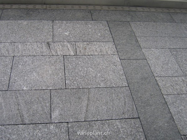 Fries mit Maggia-Gneis